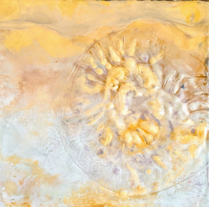 Encaustic Mixed Media 12"×12×3" Ammonite