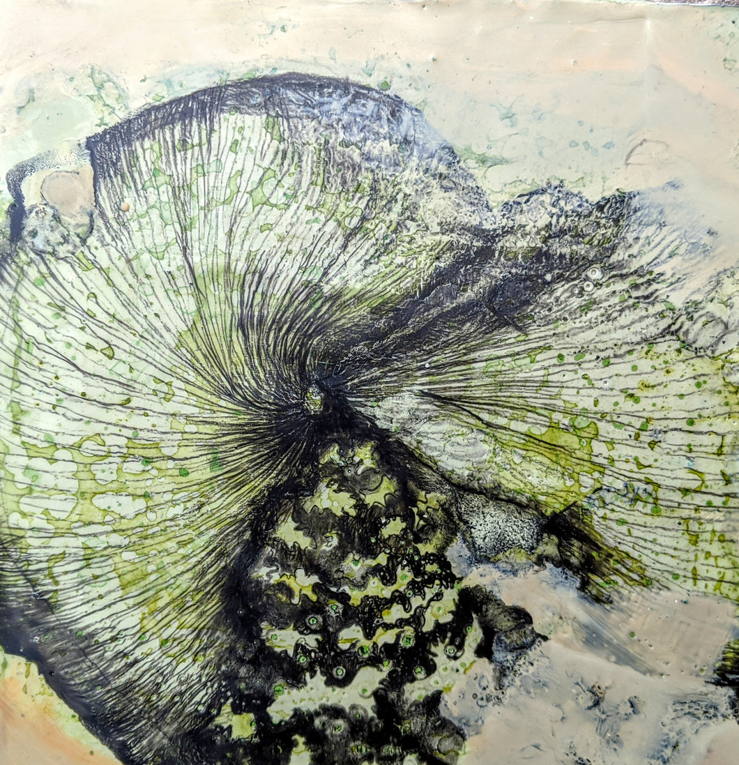 Fossil Drawing in Encaustic 8