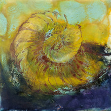 Load image into Gallery viewer, Fossil Drawing in Encaustic 4&quot;×4&quot; Ammonite1
