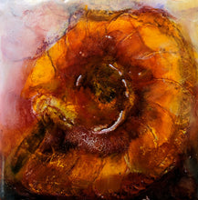 Load image into Gallery viewer, Fossil Drawing in Encaustic 4&quot;×4&quot; Ammonite2
