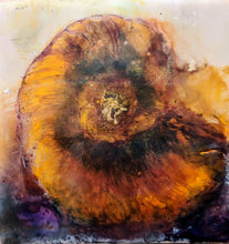 Load image into Gallery viewer, Fossil Drawing in Encaustic 4&quot;×4&quot; Ammonite4
